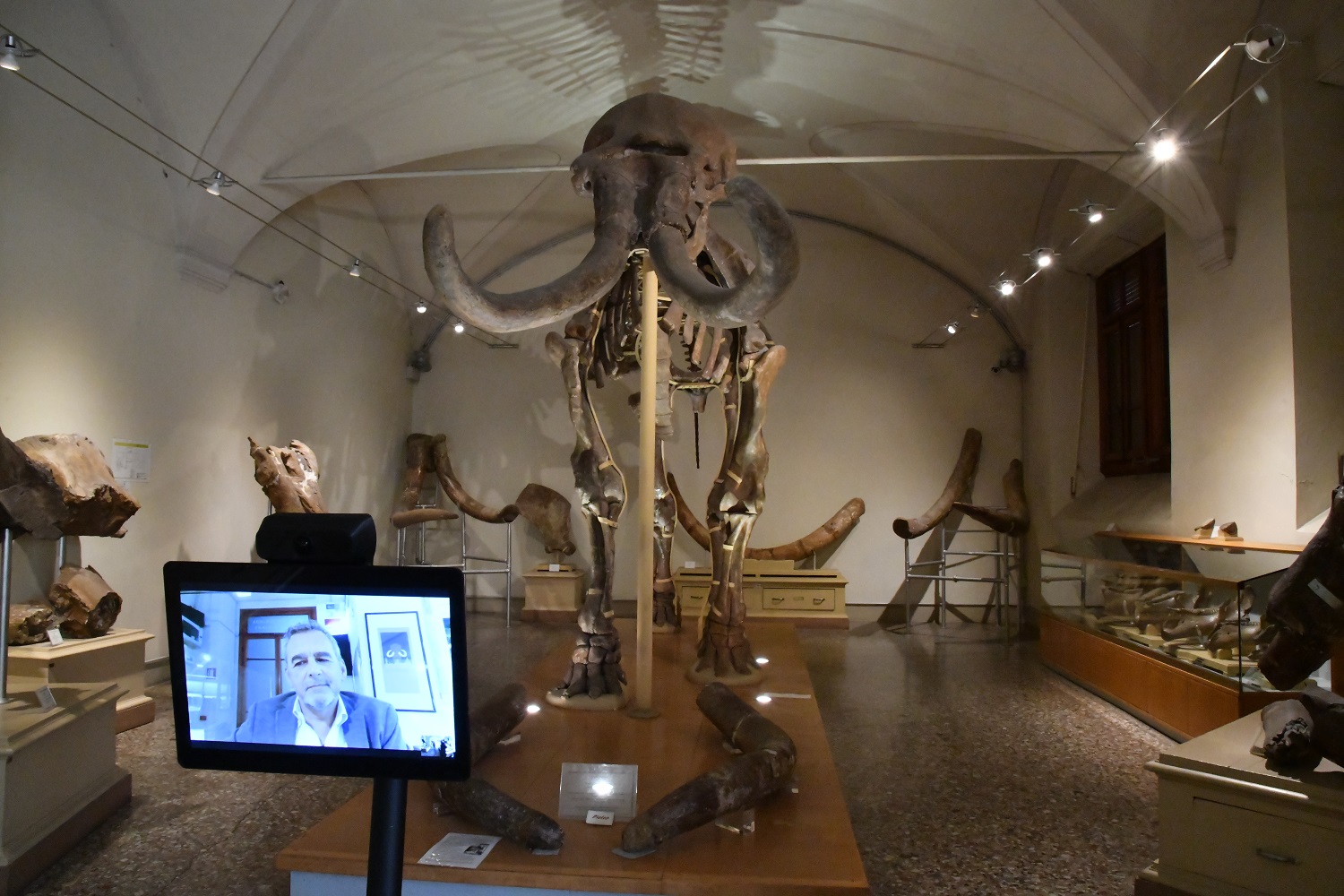 Firenze BrainControl Visitare Il Museo Di Geologia E Paleontologia Con